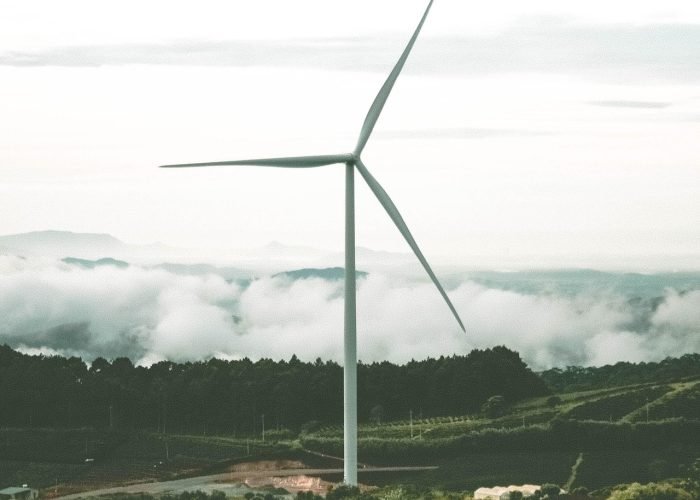 zuufotor windmill 7367963 1920